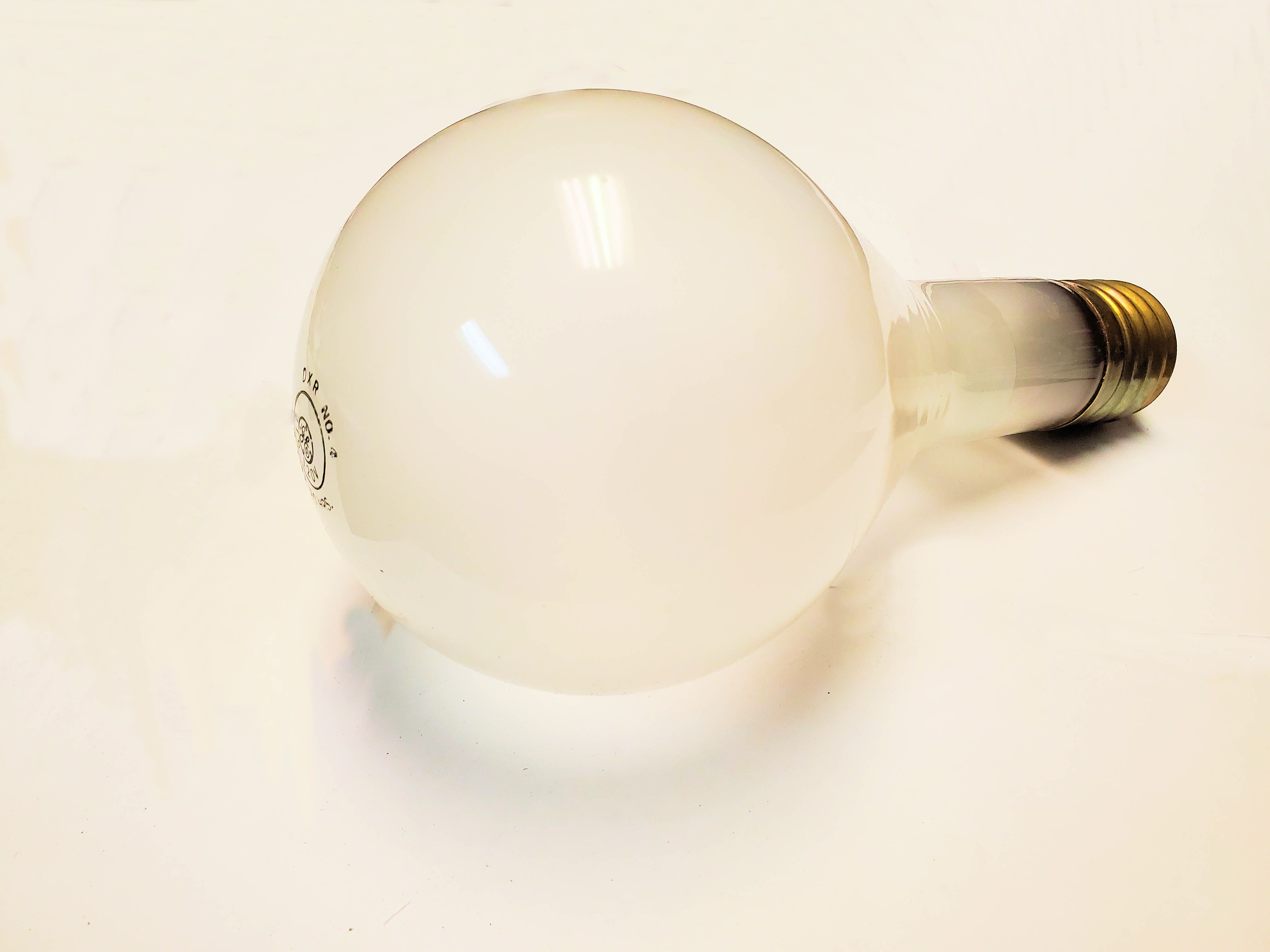 DXR/DXS Photo Flood Lamp